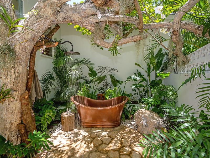 Abacus , Montego Bay , Spring Farm 