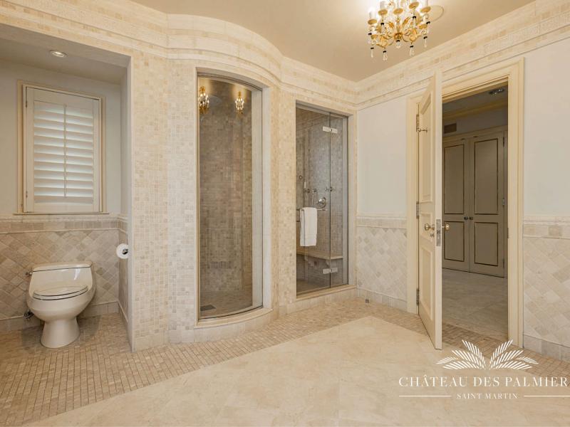 Le Chateau des Palmiers , Terres Basses 