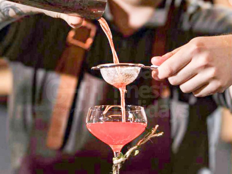 Villa Majesty , Istria 