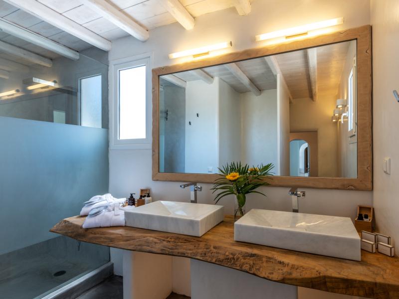 Aegean Dream , Mykonos 