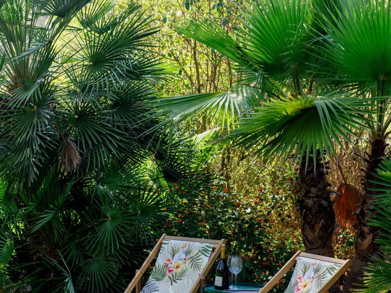 Villa Eliana , San Antonio 