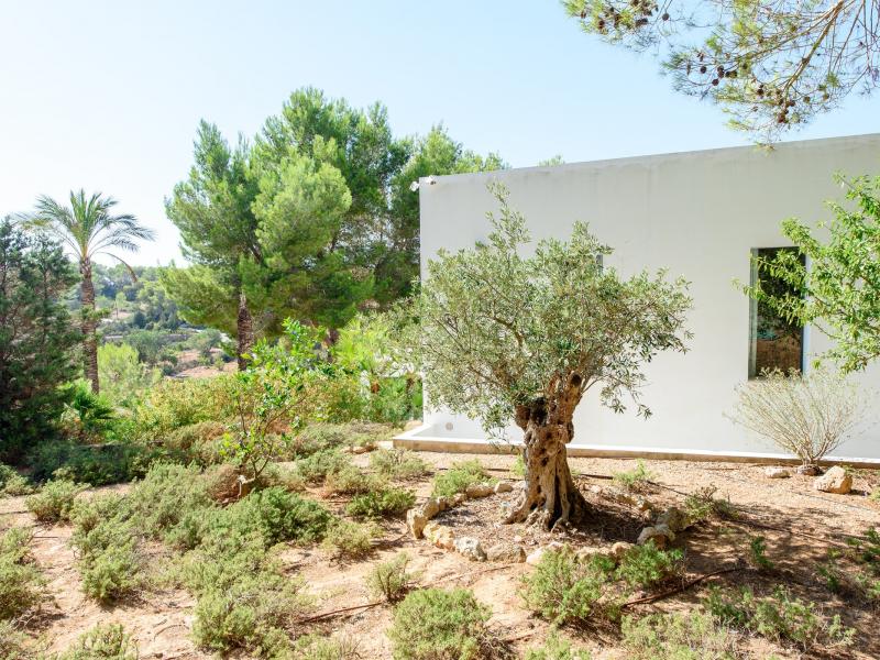 Villa Eliana , San Antonio 