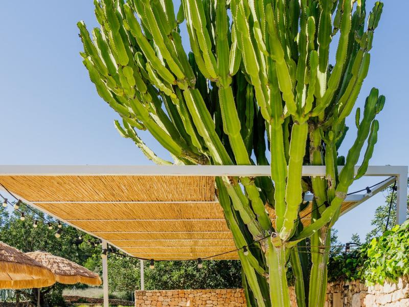 Villa Para , San Antonio 