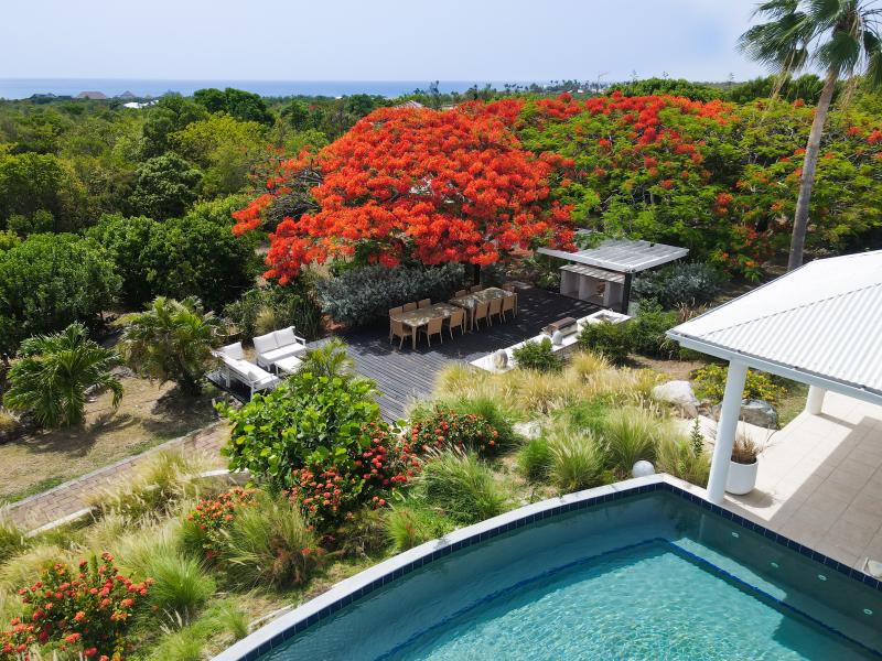 Encore , Terres Basses 