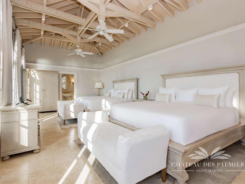 Le Chateau des Palmiers , Terres Basses 