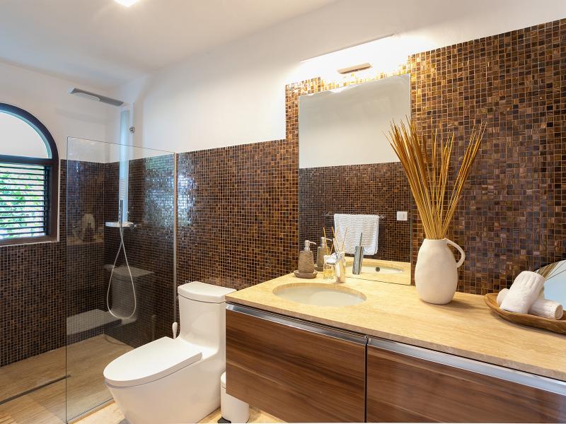 La Vue Folle , Terres Basses 