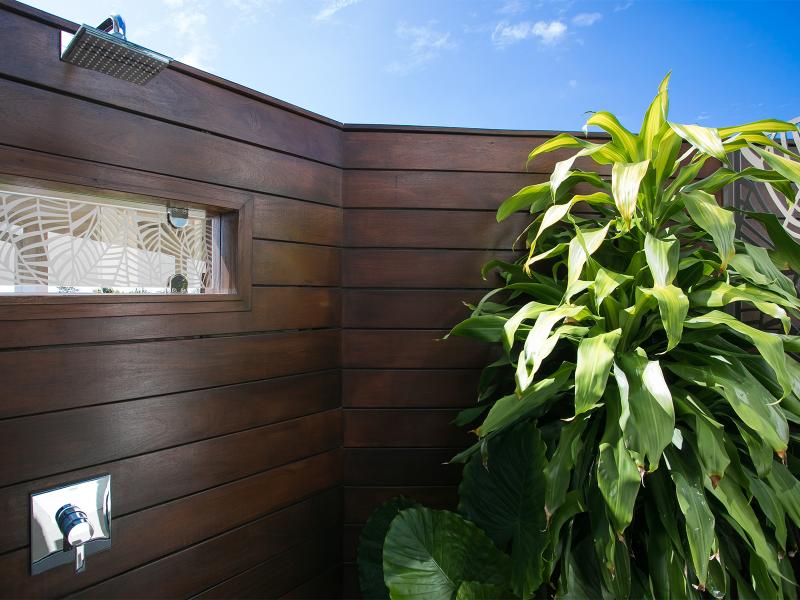 Avanti , Terres Basses 