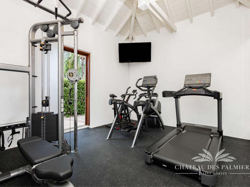 Le Chateau des Palmiers , Terres Basses 