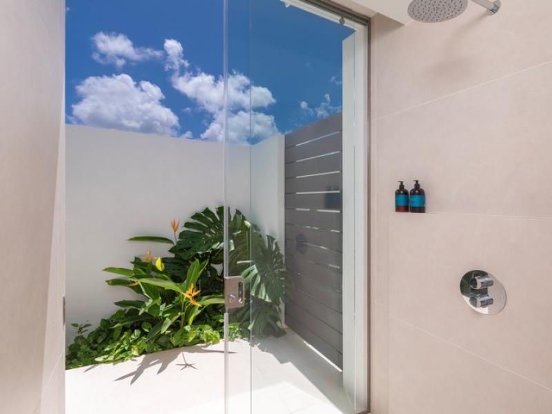 Monkey Ridge , St James , West Coast Barbados 