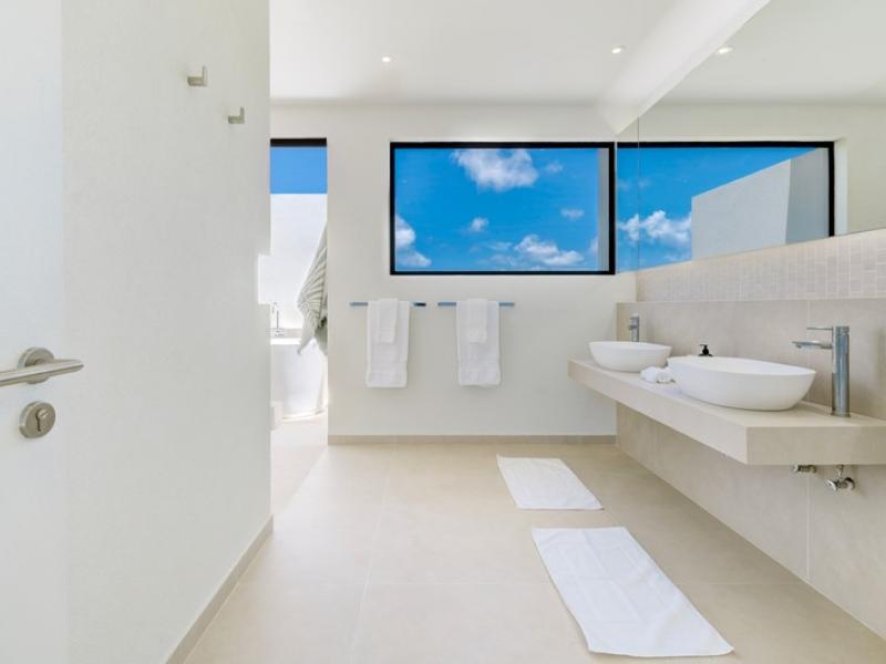 Monkey Ridge , St James , West Coast Barbados 