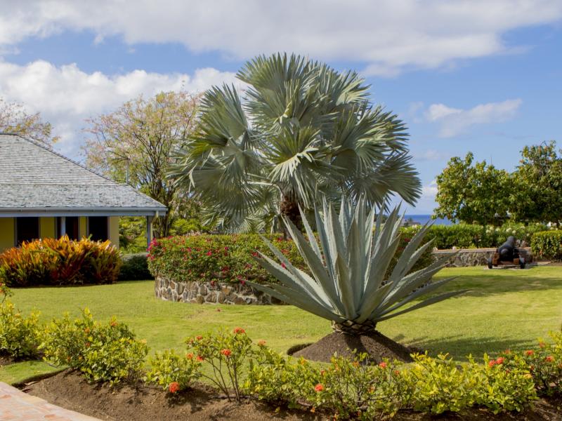 St Anne's Point , Falmouth 