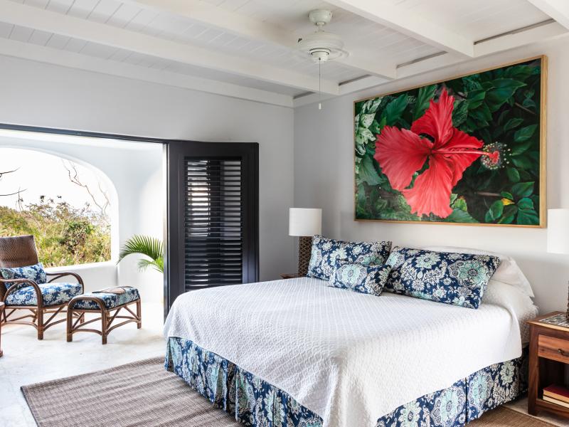 Guana Island , Guana Island 