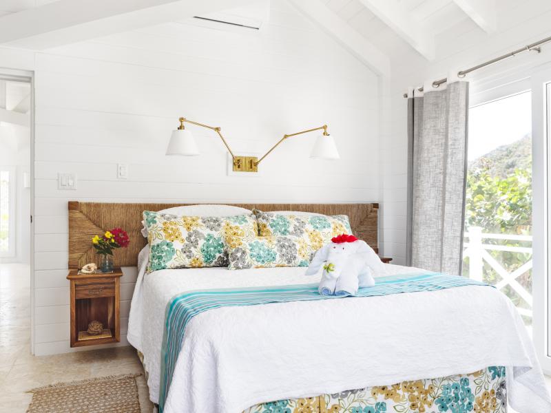 Guana Island , Guana Island 