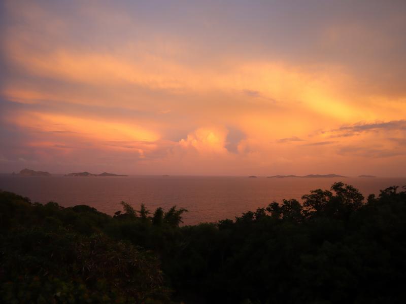 Helianthus , Mount Pleasant 