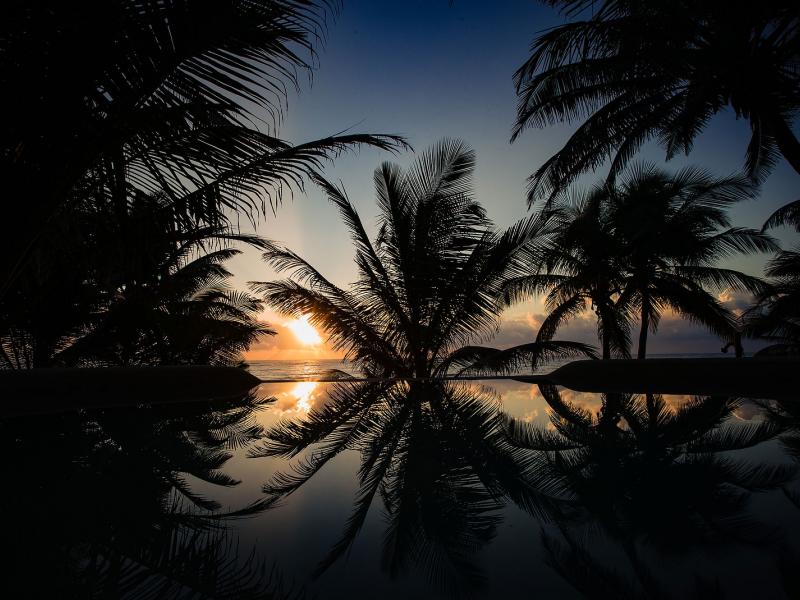 Zorba Cinco & Penthouse , Tulum 