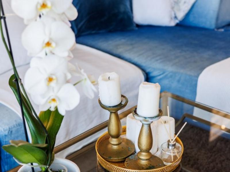 Nirvana. Tortola , Tortola 