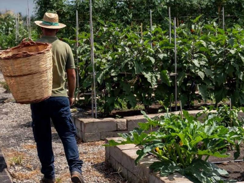 Donna Carmela Resort , Sicily 