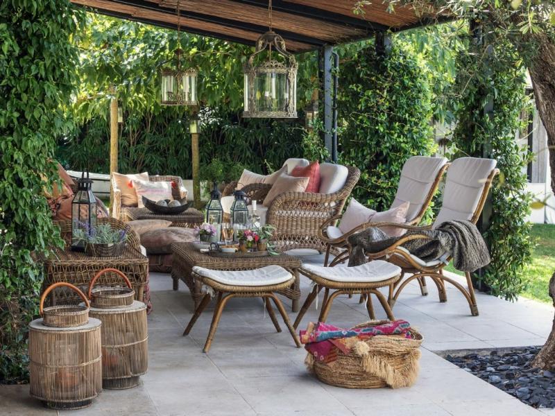 Rose du Cap , Cote D'Azur 