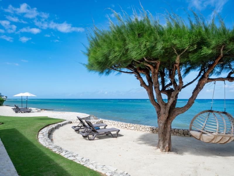 Phoenix , Montego Bay 